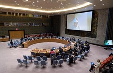 Vietnam llama a países de la región del Sahel a unirse contra el terrorismo