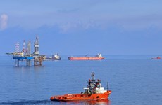 PetroVietnam por intensificar producción de petróleo y gas