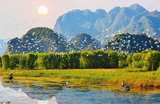 Vietnam por reforzar restauración del ecosistema