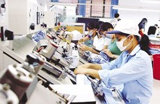 Empresas privadas en Vietnam muestran aumento en cantidad y calidad