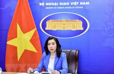 Vietnam prioriza impulso de la igualdad de género, afirma portavoz de Cancillería