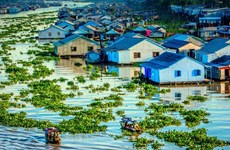 Exhortan en Vietnam a construir base de datos sobre protección ambiental en delta del Mekong