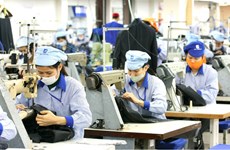 Empresas vietnamitas de exportación de fuerza laboral trabajan por superar dificultades por el COVID-19