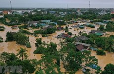 Convocan concurso sobre lucha contra desastres naturales en Vietnam