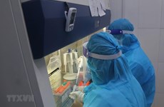 Inyectan cerca de 115 millones de dosis de vacunas contra COVID-19 en Vietnam