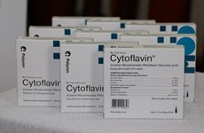 Empresa rusa dona a Ciudad Ho Chi Minh medicamentos para el tratamiento del COVID-19