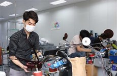 Aumenta número de nuevas empresas vietnamitas en noviembre