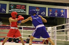 Vietnam efectúa Torneo Nacional de Boxeo 2021