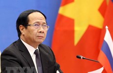 Vietnam y Rusia amplían cooperación en sectores energético y sanitario