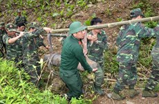 Vietnam prioriza garantía de derechos de las víctimas de minas terrestres