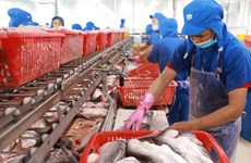 Destacan potencialidades para exportación de productos acuáticos vietnamitas a Canadá