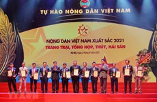 Honran a agricultores destacados de Vietnam en 2021
