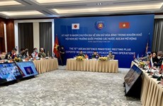 Vietnam copreside sesión del grupo de trabajo de expertos sobre operaciones de paz