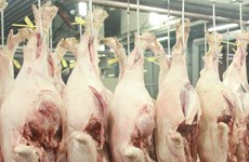 China, mayor mercado receptor de carne de Vietnam 