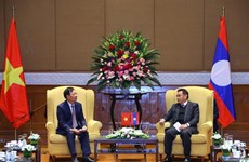 Vietnam concede importancia a preservación de nexos de amistad con Laos