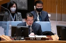Vietnam llama a promover implementación de UNCLOS en la ONU