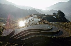 Agencia de noticias francesa resalta belleza de terrazas de arroz de Vietnam