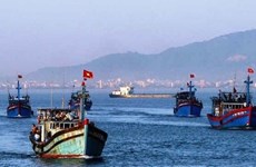 Provincia vietnamita de Ca Mau trabaja por combatir pesca ilegal