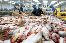 Vietnam ingresará fondo multimillonario por exportaciones de pescado Tra en 2021
