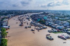 Proponen medidas para desarrollo sostenible del Delta del río Mekong