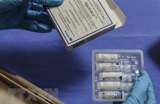 Grupo ruso Binnopharm evaluó posibilidad de Vietnam de ser autosuficiente en vacunas