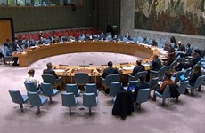 Vietnam exhorta a promover diálogo y reconciliación en Sudán