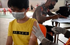 Indonesia comenzará vacunación contra el COVID-19 a niños de 6-11 años de edad