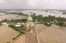 Monitorean cambios en riberas y costas del delta de Mekong mediante teledetección