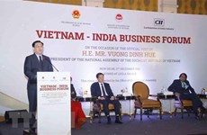 Destacan enormes potencialidades de cooperación económica entre Vietnam y la India 