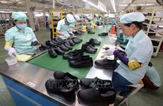 Fábricas de calzado vietnamitas dominan mercado de exportación
