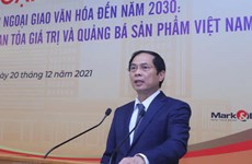 Vietnam se empeña en impulsar la diplomacia cultural 