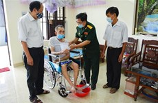 Exhortan a mejorar lucha contra enfermedades provocadas por la dioxina en Vietnam