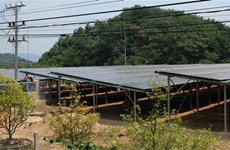 Firman contrato de licitación para construcción de plantas de energía solar en Vietnam