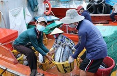 Vietnam se esfuerza por levantamiento de tarjeta amarilla impuesta al sector pesquero
