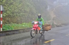 Ola de frío intenso continúa afectando el norte y centro de Vietnam 