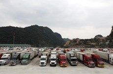 Vietnam y China buscan soluciones a la congestión de carga en puertas fronterizas