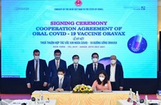 Vietnam e Israel comercializarán vacuna oral Oravax contra el COVID-19 en Sudeste Asiático