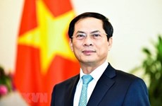 Alaban aportes de la diplomacia de Vietnam a salvaguardia y desarrollo nacional