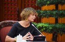 Países Bajos financia proyecto de adaptación climática en provincia vietnamita