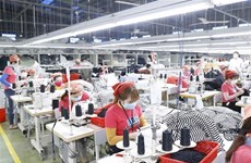 Empresas vietnamitas optimistas sobre producción y negocios en 2022
