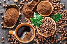 Vietnam, segundo exportador de café del mundo