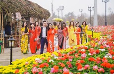 Celebrarán Festival de Flores de Primavera en Ciudad Ho Chi Minh