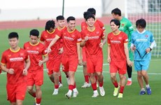 Fútbol vietnamita marca improntas en la cooperación internacional