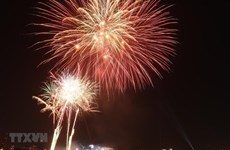Propone suspender festivales y espectáculos de fuegos artificiales por Año Nuevo Lunar