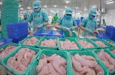 Vietnam podría obtener ingreso multimillonario por exportaciones de pescado Tra en 2022