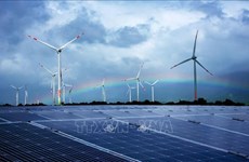 Vietnam perfecciona mecanismo de licitación para desarrollo de energías renovables