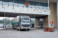 Creará Vietnam grupo de trabajo para abordar congestión de mercancías en puertas fronterizas con China