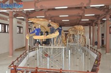 Restauran dos esqueletos de ballena de 300 años en isla vietnamita de Ly Son
