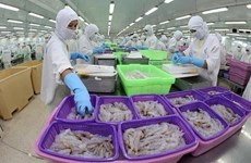 Banco Mundial pronostica crecimiento económico de Vietnam del 5,5 por ciento en 2022