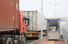 Provincias vietnamitas suspenden exportaciones de productos a China
